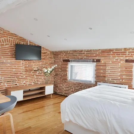 Apartment Le Cosy & Office Au Coeur De Toulouse