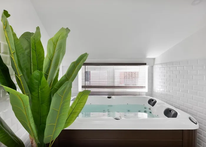 Le Cosy & Office Au Coeur De * Toulouse